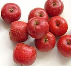 Serbuk buah-buahan Hawthorn
