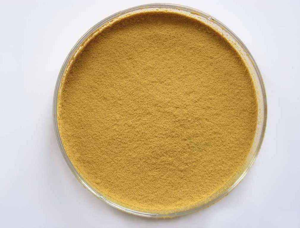 American Ginseng Extract