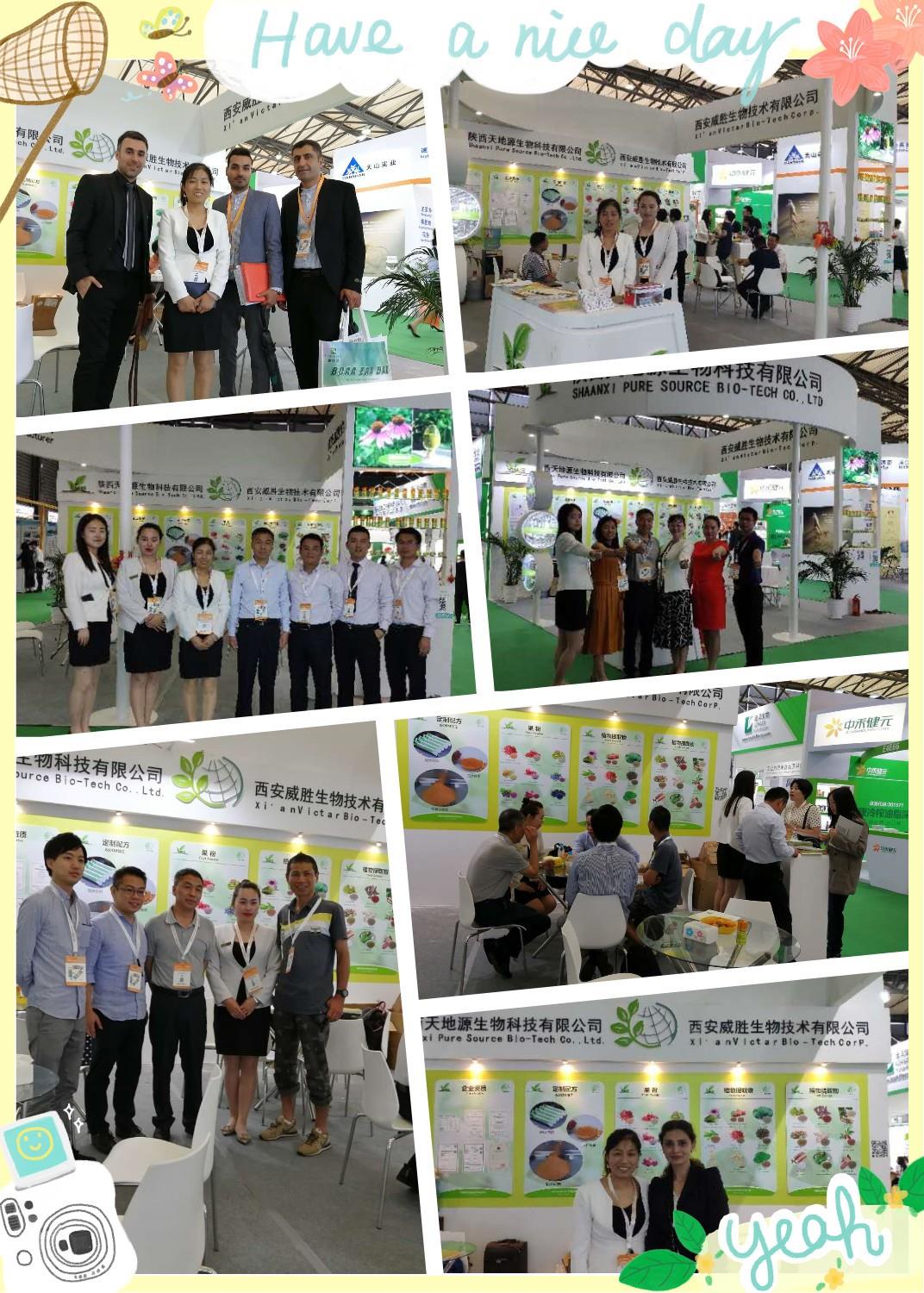 微信图片_20190624134832_副本