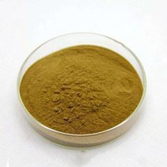 lemon balm extract_
