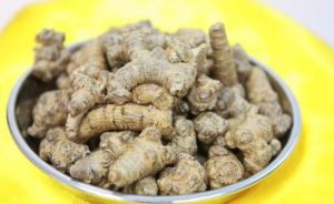 Ekstrak Notoginseng