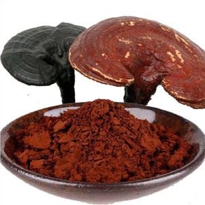 Serbuk Spora Ganoderma yang rosak