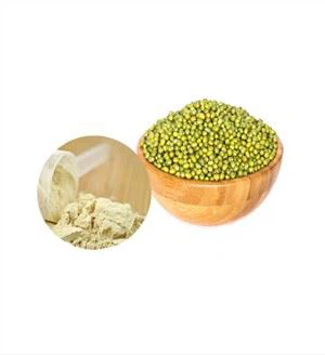 Protein Mung Organik