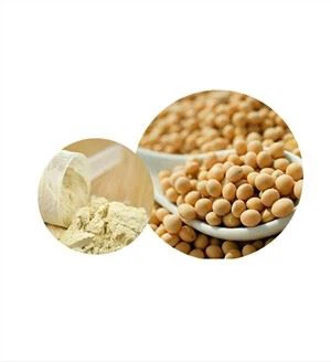 Protein Soya Organik