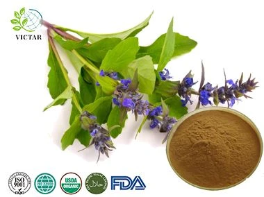 Ekstrak Ajuga Turkestanica
