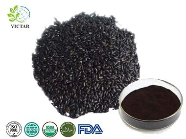 Ekstrak Beras Hitam