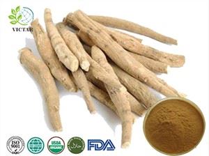 Ekstrak Ashwagandha