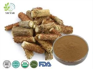 ekstrak ginseng siberia