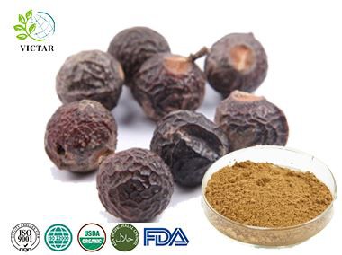 Ekstrak Soapnut