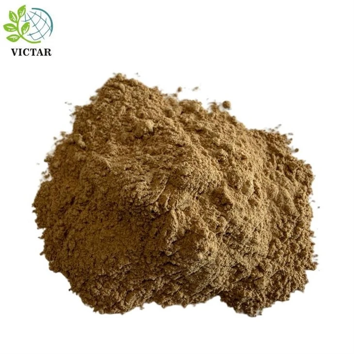 Serbuk Salvia Miltiorrhiza