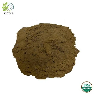 Serbuk Daun Ginkgo Biloba Organik